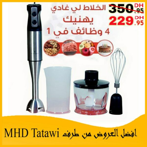 Hofmaan mixeur plongeant 4en1 inox ,hand blender 4 in 1 back / silver