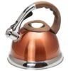 Bouilloire Bronze et Inox INDUCTION 3.2L à Sifflet